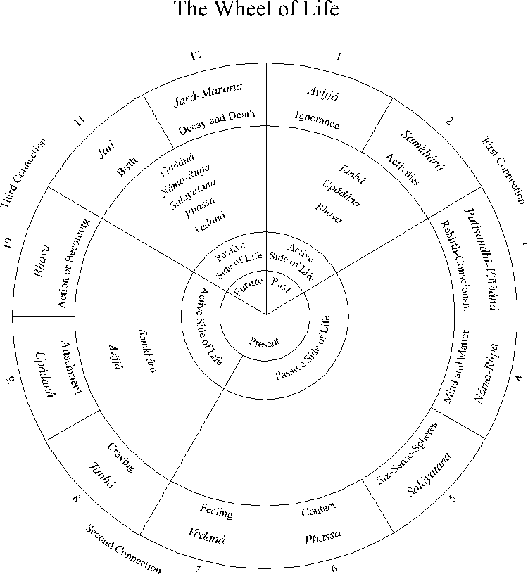 lifewheel