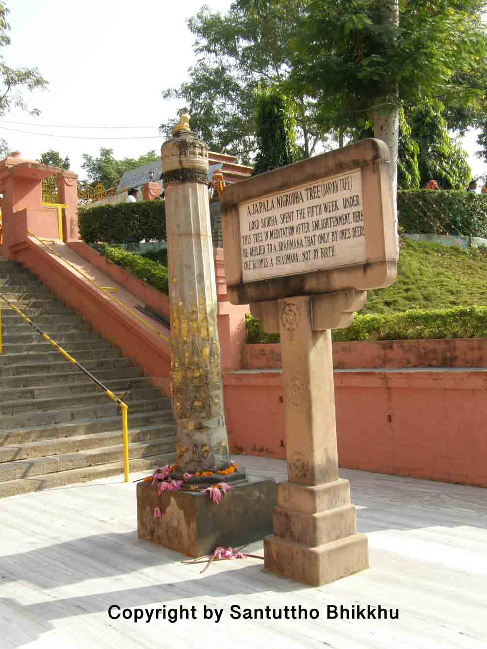 Ajapala